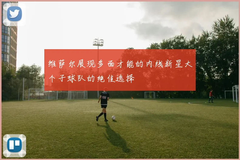 维萨尔展现多面才能的内线新星大个子球队的绝佳选择