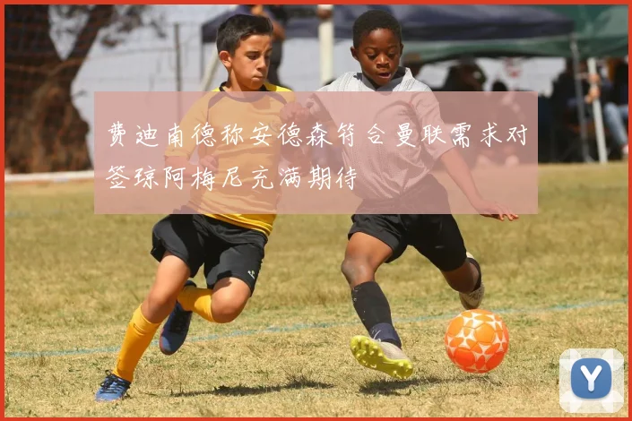 费迪南德称安德森符合曼联需求对签琼阿梅尼充满期待